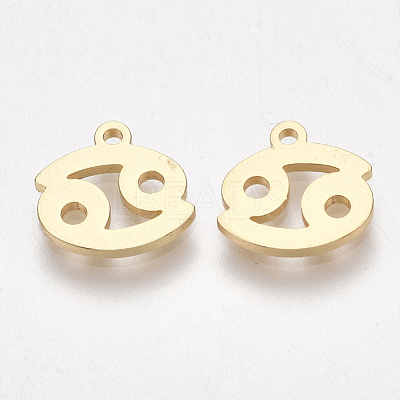 Ion Plating(IP) 304 Stainless Steel Charms STAS-S107-06J-1