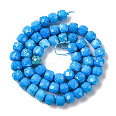 Natural Howlite Beads Strands G-G001-B03-04-1