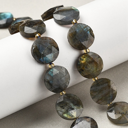 Natural Labradorite Beads Strands G-C116-A164-03-1