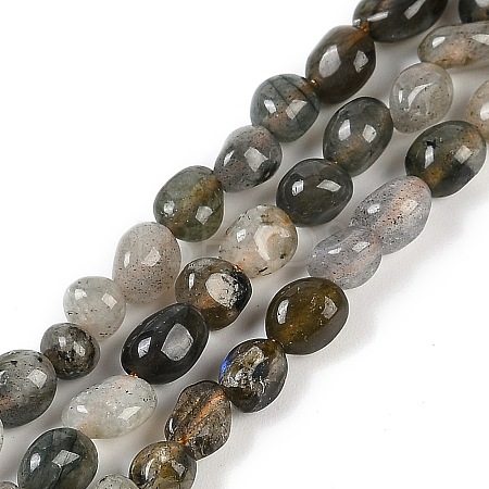 Natural Labradorite Beads Strands G-P497-01B-03-1