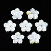 Natural White Shell Beads SSHEL-N027-131B-01-1