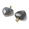 Natural Labradorite Pendants G-G956-B24-G-2