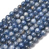 Natural Kyanite/Cyanite/Disthene Round Beads Strands G-O017-6mm-04D-1