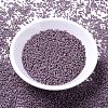MIYUKI Delica Beads X-SEED-J020-DB1066-2