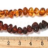 Gradient Color Natural Amber Beads Strands G-K387-F01-01-5