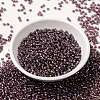 MIYUKI Round Rocailles Beads SEED-X0055-RR3748-2
