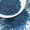 MIYUKI Round Rocailles Beads X-SEED-G007-RR0025-1