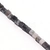 Natural Eagle Eye Stone Beads Strands G-WH0009-07-2
