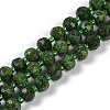 Natural Sesame Jasper Dyed Beads Strands G-H057-A21-07-1