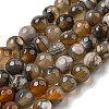 Natural Agate Beads Strands G-M437-B01-02-1