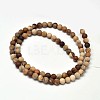 Frosted Natural Petrified Wood Round Bead Strands G-F266-07-6mm-2