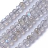 Natural Labradorite Beads Strands G-F627-10-A-1
