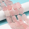 Natural Rose Quartz Beads Strands G-G072-B05-02-2