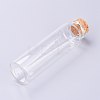 Glass Bottles AJEW-H102-06D-2