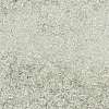 TOHO 11/0 Round Beads X-SEED-TR11-2700-2