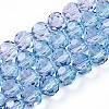 Baking Paint Transparent Glass Beads Strands DGLA-A035-T10mm-A06-1