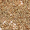 FGB 11/0 Grade A Glass Seed Beads SEED-S030-1219-2