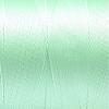 210D/3 Tex70 Nylon Sewing Thread NWIR-N006-01G-0.2mm-2