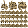 Tibetan Style Alloy Pendanrs FIND-WH0199-392AB-1