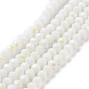 Electroplate Opaque Solid Color Glass Beads Strands LS-EGLA-A034-P10mm-L17-1
