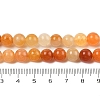 Natural Golden Silk Jade Beads Strands G-N344-01C-01-5