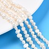 Natural Cultured Freshwater Pearl Beads Strands PEAR-N014-03C-1