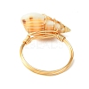 Natural Spiral Shell Finger Rings RJEW-TA00169-5