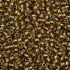 TOHO Round Seed Beads X-SEED-TR11-0279-2