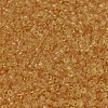 MIYUKI Delica Beads X-SEED-J020-DB0702-3