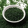 MIYUKI Round Rocailles Beads SEED-X0055-RR0158F-2