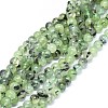 Natural Prehnite Beads Strands G-F602-01-8mm-1