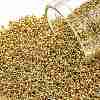 TOHO Round Seed Beads SEED-XTR15-0715-1