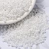 MIYUKI Round Rocailles Beads SEED-G008-RR0420-1