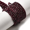 Natural Garnet Beads Strands G-I341-09B-01-5