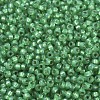 MIYUKI Round Rocailles Beads X-SEED-G007-RR0646-3