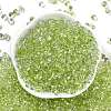 6/0 Spray Paint Fringe Glass Seed Beads X1-SEED-H003-11N-3