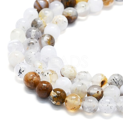 Natural White African Opal Beads Strands G-K245-A18-02-1