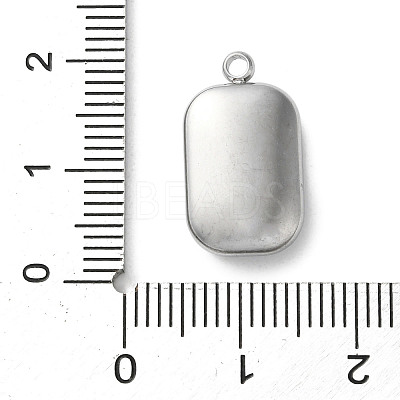 304 Stainless Steel Acrylic Pendants STAS-M091-02C-P-1