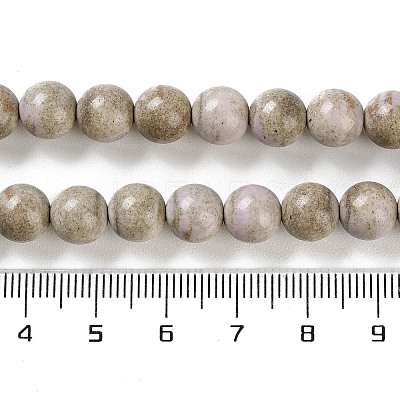 Natural Rainbow Alashan Agate Beads Strands G-NH0022-A09-02-1