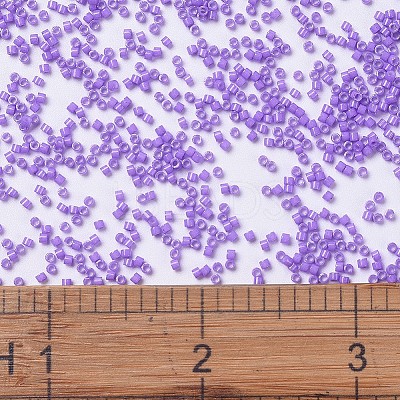 MIYUKI Delica Beads X-SEED-J020-DB1379-1