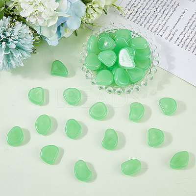 1 Set Resin Luminous Glow in the Dark Pebbles Stone DJEW-CN0001-40D-1
