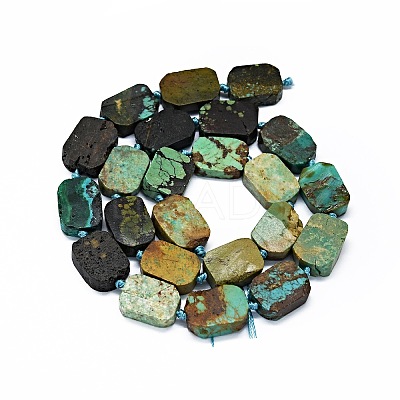 Natural Turquoise Beads Strands G-F725-10-1
