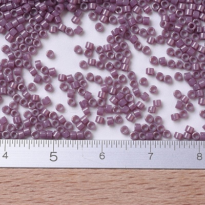 MIYUKI Delica Beads X-SEED-J020-DB0265-1