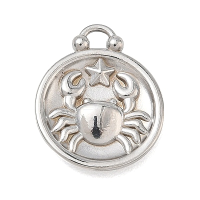 12 Constellations 304 Stainless Steel Pendants STAS-F354-01P-03-1