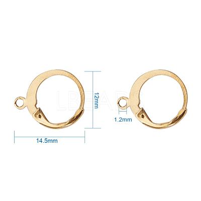 304 Stainless Steel Leverback Earring Findings X-STAS-G081-62G-1