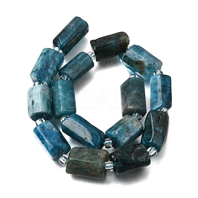 Natural Apatite Beads Strands GG-CBA8682-A06-1