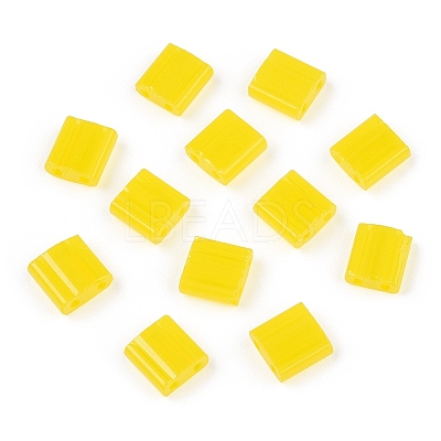 2-Hole Glass Seed Beads SEED-T003-01C-11-1