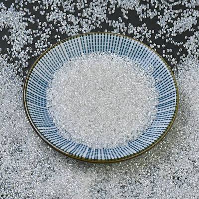 MIYUKI Delica Beads SEED-X0054-DB1671-1