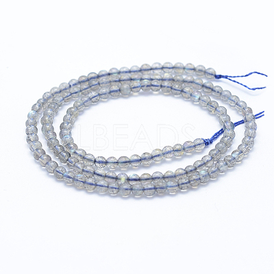 Natural Labradorite Beads Strands G-P342-09A-3mm-A++-1