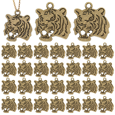 Tibetan Style Alloy Pendanrs FIND-WH0199-392AB-1